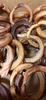 12" Bully Sticks - 100% BEEF