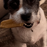 Yak Cheese Milk Chews - Long Lasting Dog Chew Treat