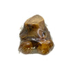 100% Beef Meaty Knuckle Bones - For BIG Chewers - 100% Beef ***SPECIAL*** 3 pack