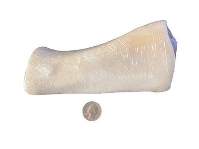 Filled Shin Bone 2 sizes - Our price is for 2