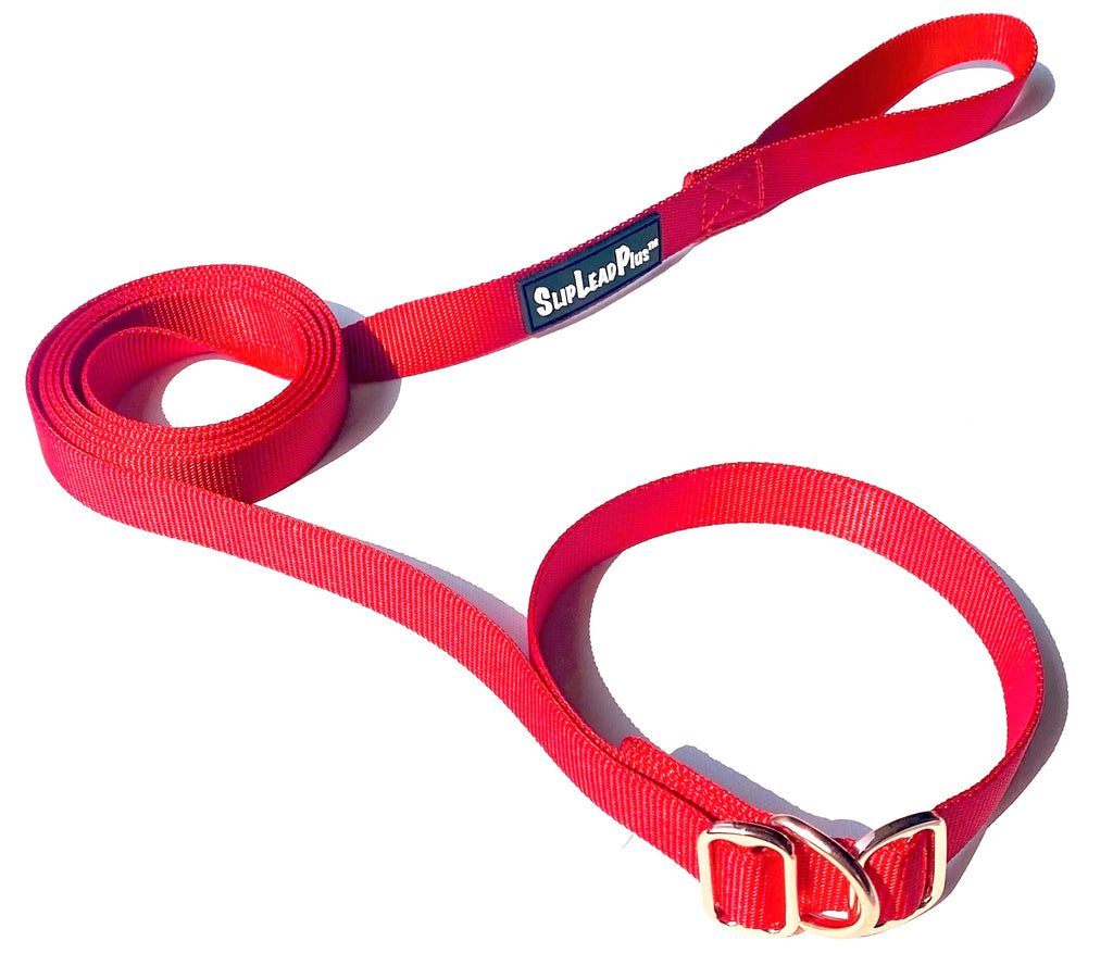 Slip Lead Plus - 3-1 Leash - Collar - Harness